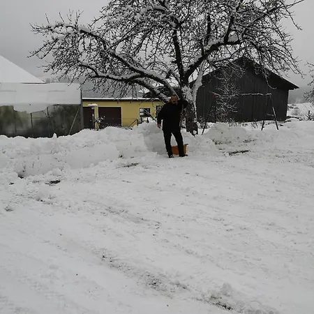 Haus Veronika Lejlighed *